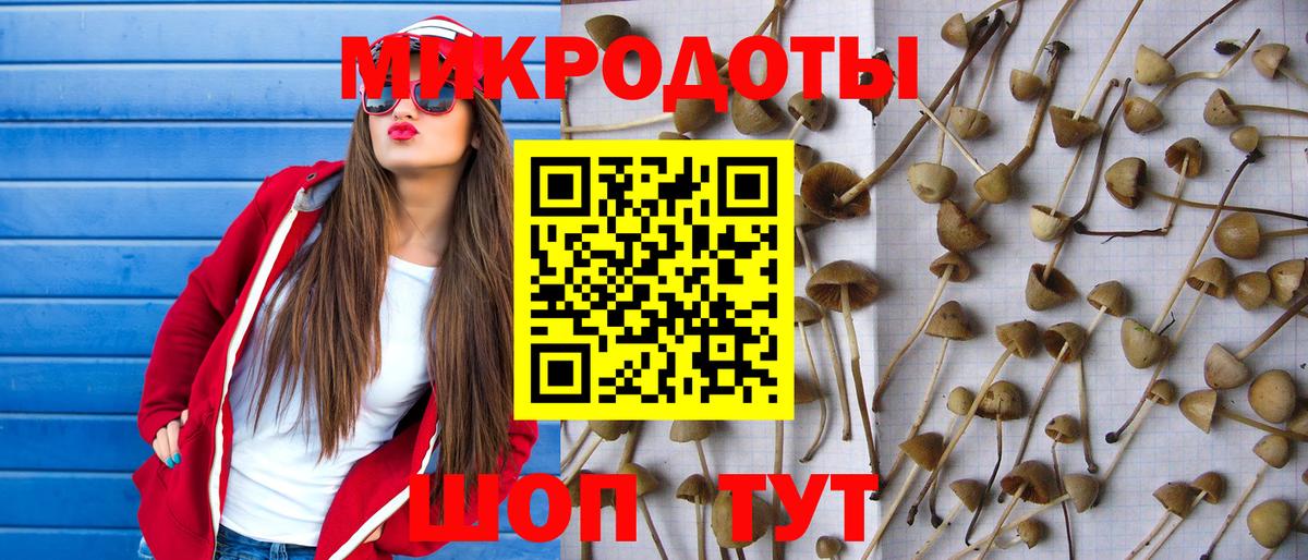 Галлюциногенные грибы прущие грибы Обь